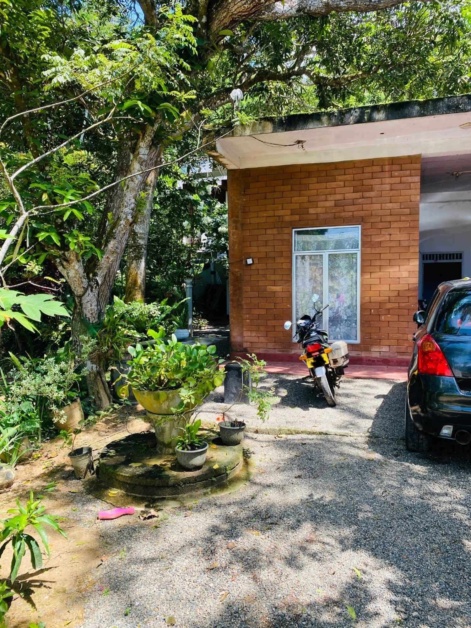 Little Mount Guest House Mirissa Luaran gambar